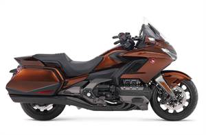 GOLDWING BAGGER