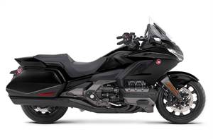 GOLDWING BAGGER
