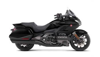 2019 GOLDWING BAGGER