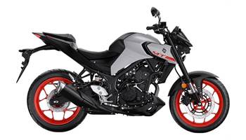 2020 MT03