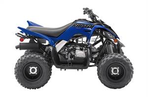 RAPTOR 90