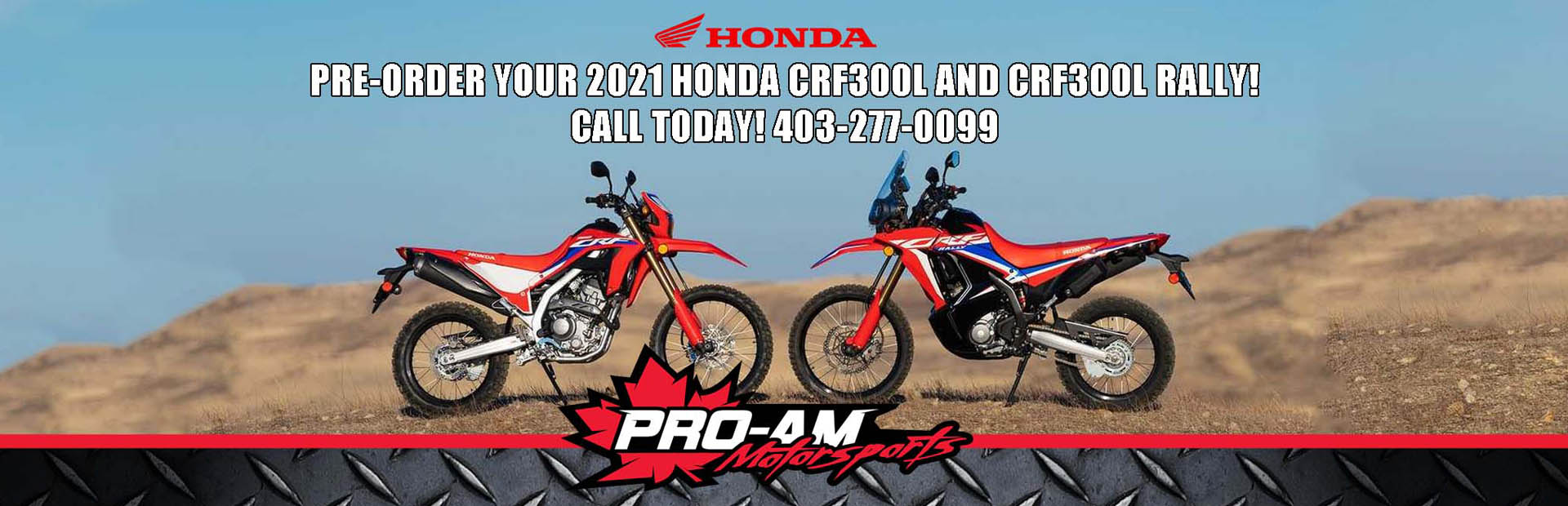 Pre-Order Your CRF300L Today!